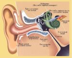 Баротравма уха – что это такое, как проявляется и какими способами лечится?