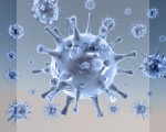 Коронавирусная инфекция у человека, какие вирусы вызывают, как проявляется, схема лечения
